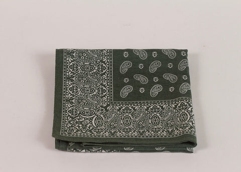Shopkeeper Studio Paisley Bandana | Sage Green