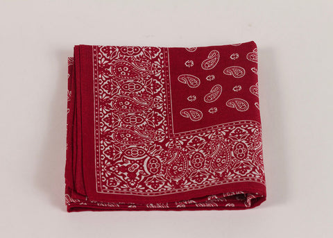 Shopkeeper Studio Paisley Bandana | Madder Red